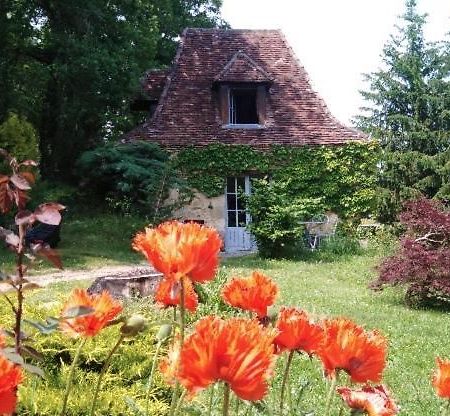 Petite Maison En Perigord Noir Plazac Exterior photo