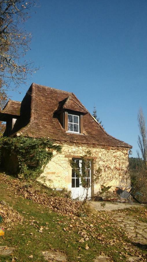 Petite Maison En Perigord Noir Plazac Exterior photo